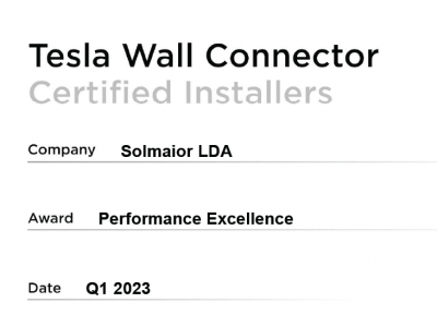Tesla Performance Excellence Award – 2023